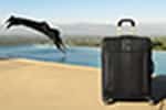 weber-samsonite-2