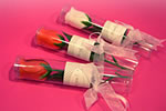 rozen