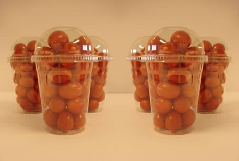jasa-shakers