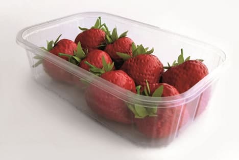 bordex-tp-punnets-1