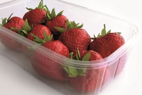 bordex-tp-punnets-2