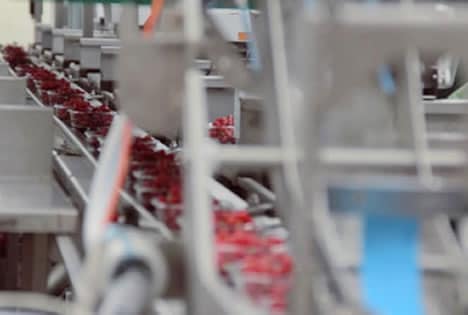 foodlife-berrybrothers