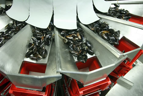 multipond-krijn-verwijs-2