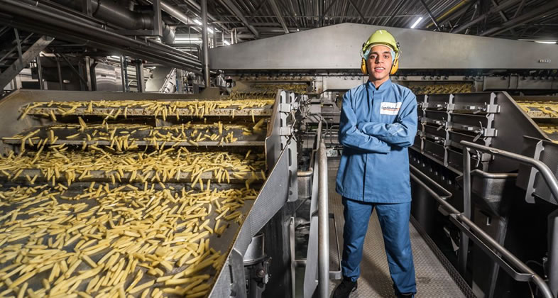 Lamb Weston wil fabriek in het Limburgse Broekhuizenvorst sluiten