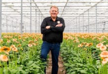 Kwekers van Royal FloraHolland omarmen meermalige bloemenemmer