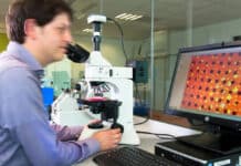 OptiGroup ondersteunt verdere groei van The LCA Center