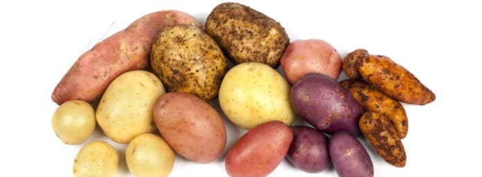 aardappelen-stock-xl