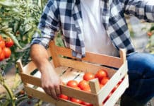 AGF Recruitment zoekt Commercieel Directeur Agri Verpakkingen