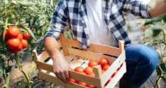 agri-stock-234x125.jpg