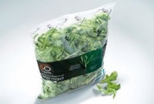 amcor-1