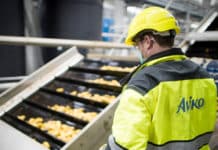 Aviko draait proef in modernste fabriek voor frietjes van Europa
