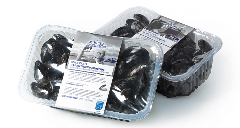 bandall-mossel-1.jpg