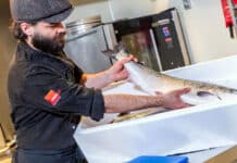 BEWI bespaart CO2 met introductie nieuwe productlijn EPS