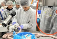 Meiden en jongens beleven indrukwekkende dag bij klant van Sealpac