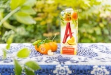 design-bridge-appelsientje