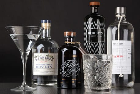 dijkstra-gin