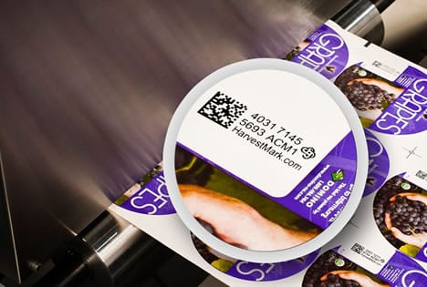 Domino heeft onlangs een nieuw Europees democentrum voor Digital Printing geopend. De van origine codeer- en markeerspecialist ziet vooral marktkansen op het vlak van full colour etiketten.