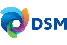 dsm-logo-nieuw