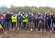 DS Smith draagt bij aan creëren van nieuw Hoombos in Heldergem