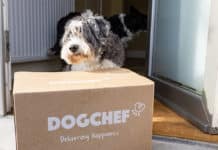 Dog Chef bespaart karton met nieuwe foodbox van DS Smith
