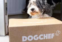 Dog Chef bespaart karton met nieuwe e-commerce foodbox van DS Smith