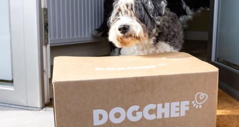dssmith-dogchef-468x250.jpg