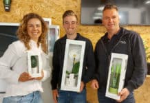 EBC-Monsterbox maakt verpakking helemaal op maat naar wensen PromoPlants