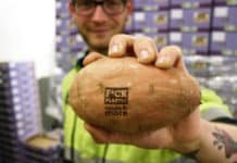 Eosta is klaar voor plasticvrij verpakte groente en fruit in 2022