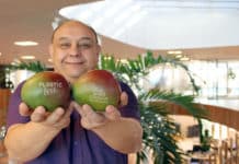 Eosta kondigt ontwikkeling in wereld van Natural Branding aan