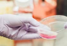 Eurofins opent nieuw microbiologisch laboratorium in Enschede