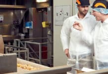 Nederlandse aardappelindustrie verspilt 5,5% minder voedsel
