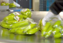 Klanten van Flex Film verminderen hun verbruik van plastic