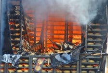 frieslandcampina-brand