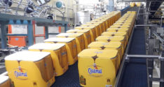 frieslandcampina-cecemel-234x125.jpg