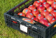 fruitmasters-etiketten-2