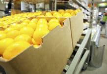 Golfkartonindustrie belevert klanten flexibel en goed in Benelux