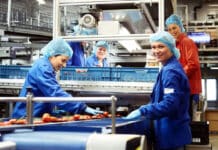 Growers United maakt 181 miljoen steeds duurzamere verpakkingen