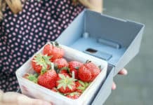 Studente ontwerpt herbruikbare bakjes voor groenten en fruit