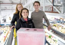 Hoek Flowers gaat voor circulariteit met recyclebare exportdoos