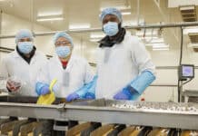 Ishida installeert Fresh Food Weighers bij Voie Verte in Frankrijk