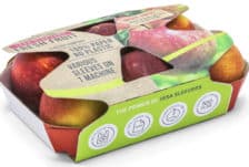 jasa-appels