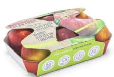 jasa-appels-xl