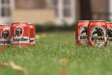jupiler-buval