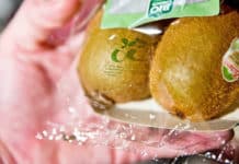 KIDV stelt factsheets over biologisch afbreekbare verpakkingen op
