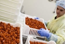 king-cuisine-productie