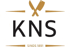 kns-logo