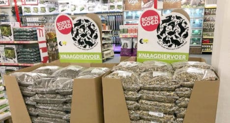 koopman-468x250.jpg