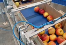 Manter breidt assortiment uit met M1 SF bandweger voor gesorteerd fruit