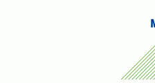 mettler-whitepaper-logo