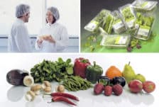 multivac-agf-collage